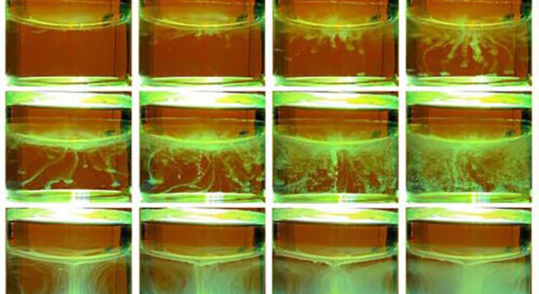 Precipitate forms in the aqueous layer of a liquid-liquid extraction. (Photos from Pan Sun and Mark Schlossman)
