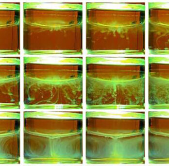 Precipitate forms in the aqueous layer of a liquid-liquid extraction. (Photos from Pan Sun and Mark Schlossman) 
